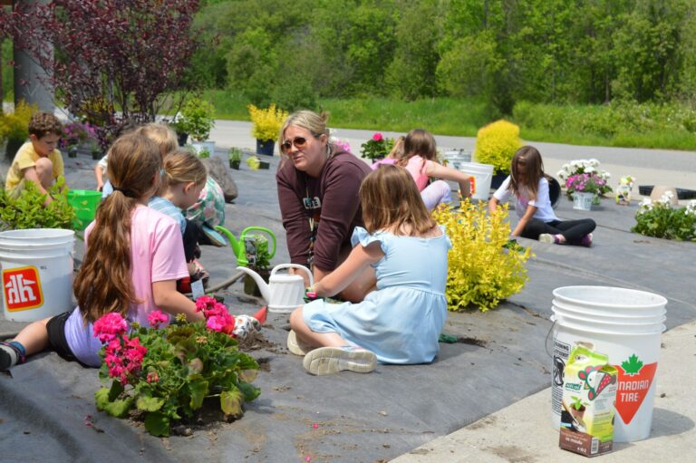 Sunset Park Public School garden grows