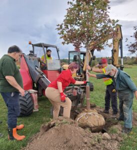 Community tree planting at St. Gregory Catholic School in Powassan